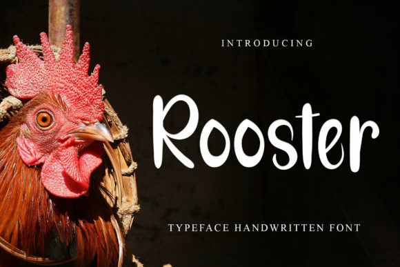 Rooster: A Playful Display Font for Bold Campaign Headlines
