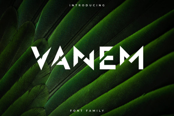 Vanem: A Bold Display Font for Futuristic Web Design